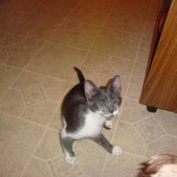 2559bv's Chat & Dating Profile