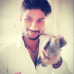 Abhinaw's Chat & Dating Profile