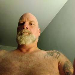 BiWBear320's Chat & Dating Profile