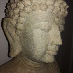 BloemBlack's Chat & Dating Profile