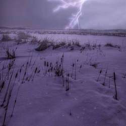 Crazyj's Chat & Dating Profile