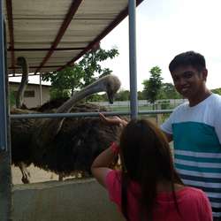 Dexterclein's Chat & Dating Profile