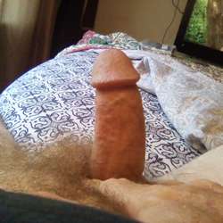 Johnnywantsu's Chat & Dating Profile