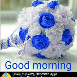 Krushnavamshi's Chat & Dating Profile