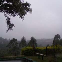 Leonscorpio's Chat & Dating Profile