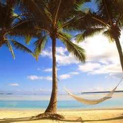 NSguy's Chat & Dating Profile