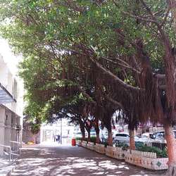 NakedShun's Chat & Dating Profile