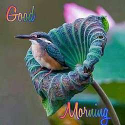 Rahulnair's Chat & Dating Profile