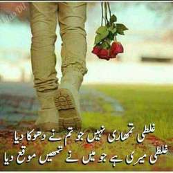 Roshi's Chat & Dating Profile