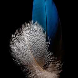 Rrk's Chat & Dating Profile