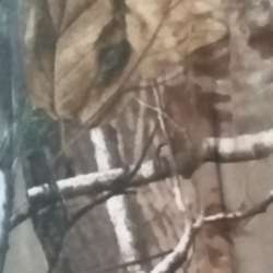 Scott1972's Chat & Dating Profile