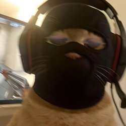 U3j3i3i's Chat & Dating Profile