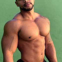 gymbro1's Chat & Dating Profile
