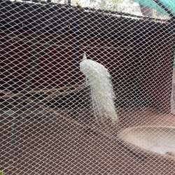 kmb's Chat & Dating Profile