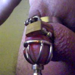 lockedcock4c's Chat & Dating Profile