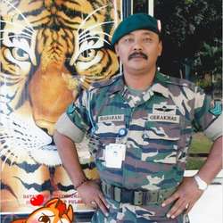 shamil's Chat & Dating Profile