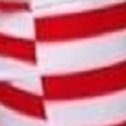 trentboston's Chat & Dating Profile